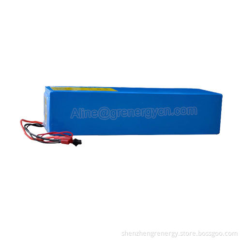 48V Li Ion 1000W Electric Bike Battery